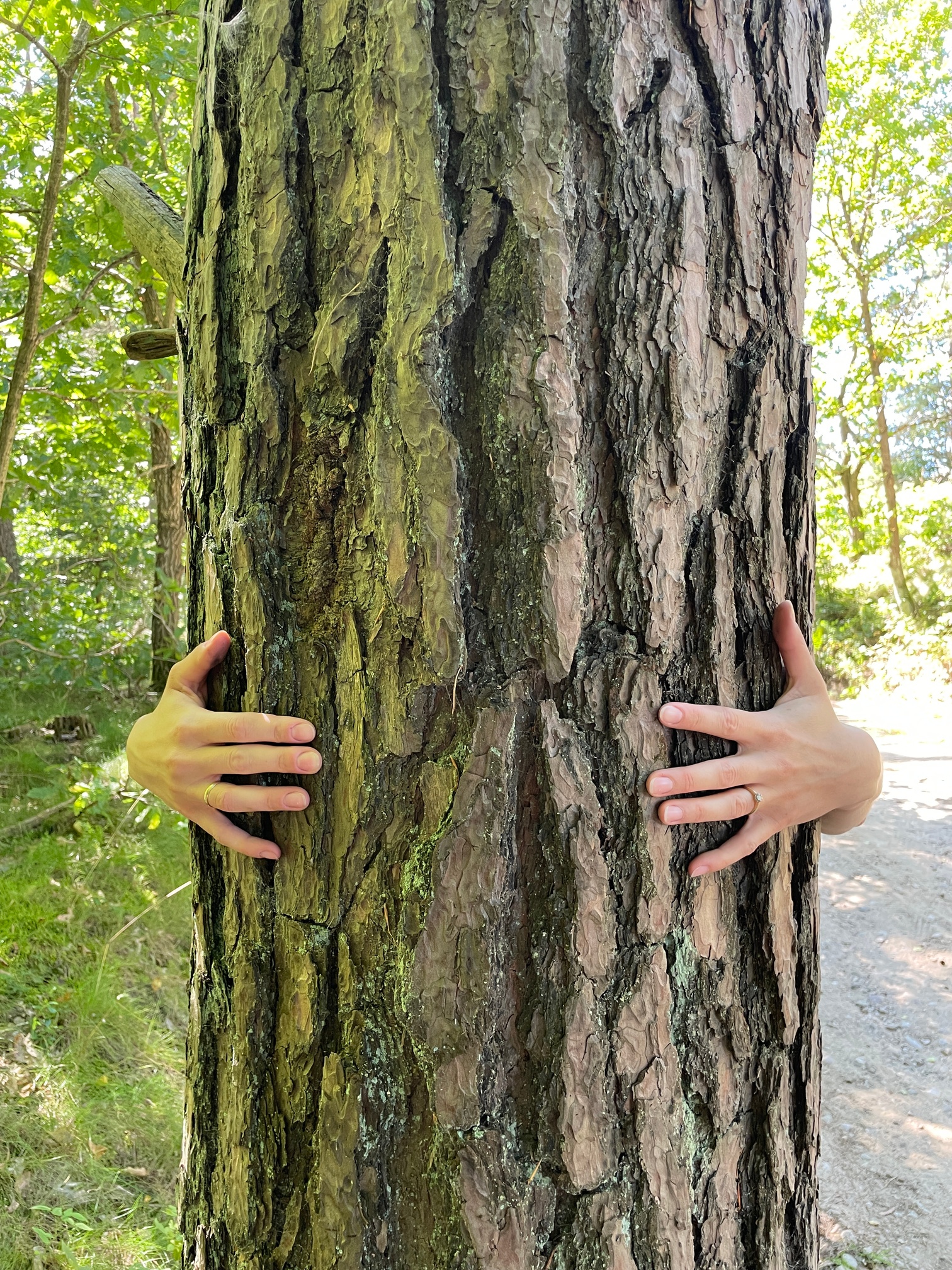 Artystka – Lavoro Artistico